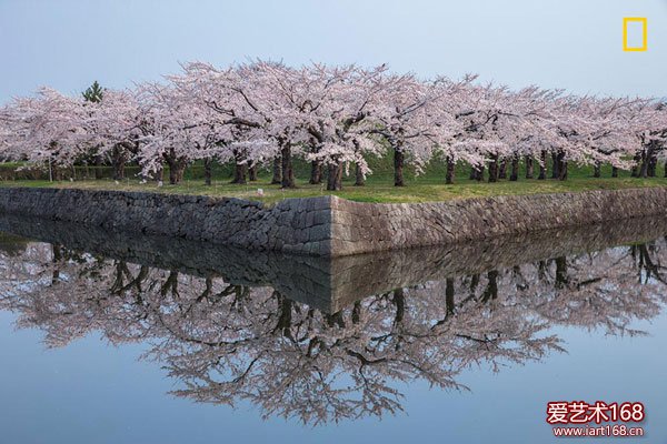 【艺术摄影】国家地理年度旅行摄影师比赛现在正在火热进行中，该影展选取了自然类别中的一些精彩作品。作品《对称》