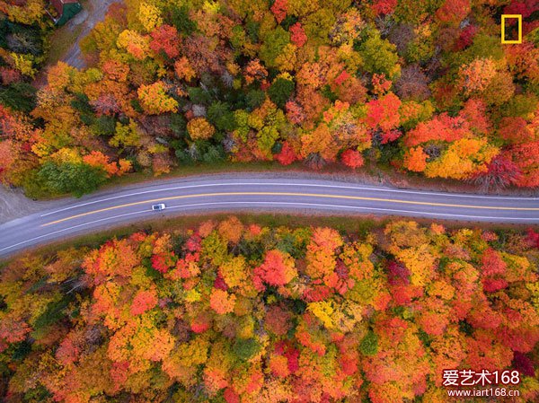 2017国家地理年度旅行摄影师比赛